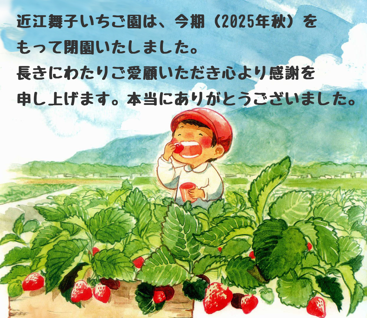 近江舞子いちご園・閉園のお知らせ